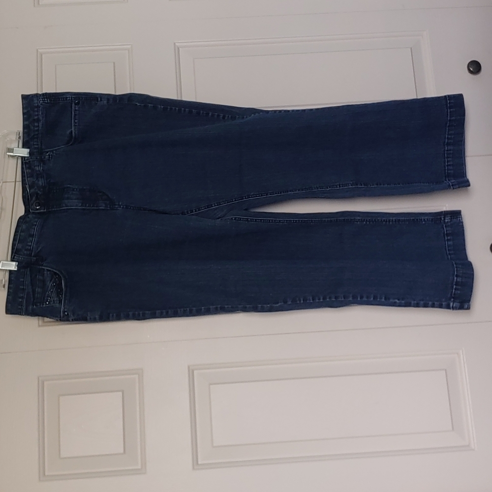 Women's Dressbarn Fantasy Jeans, Size 22 Short